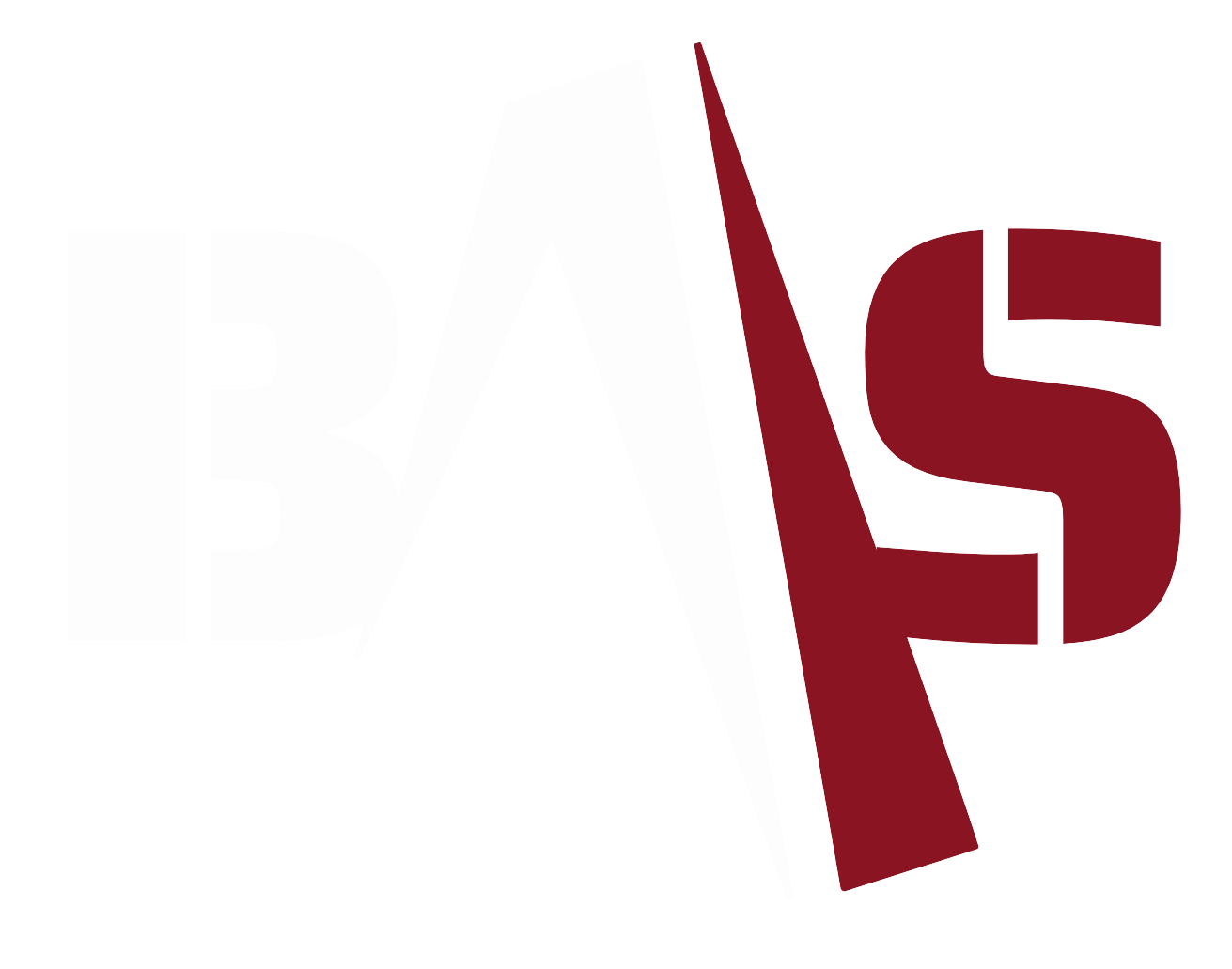 BAAS Logo